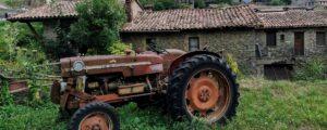 rupit