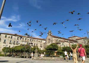 pontevedra
