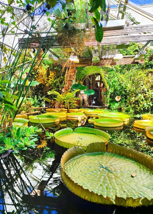 Jardín Botánico de Tøyen